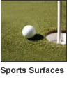 Sports Surfaces